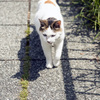 おねだりさん