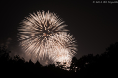 20141011-_DSC2224