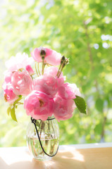 窓際に薔薇