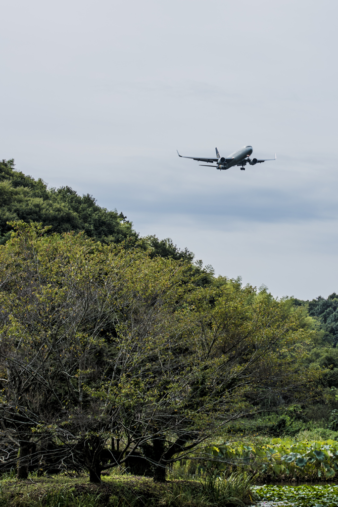 池と飛行機