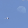 月旅行 Moon Flight