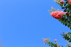 空に歌う