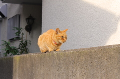 見ないで