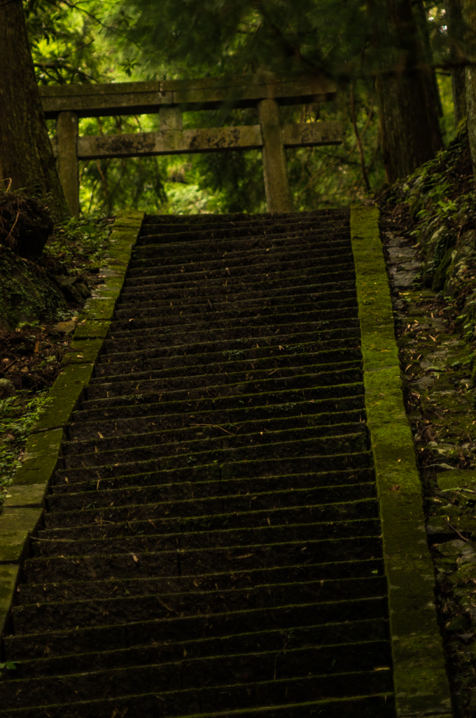 山奥の小さな神社