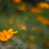 impressionist
