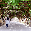 tunnel その先の中心を目指して