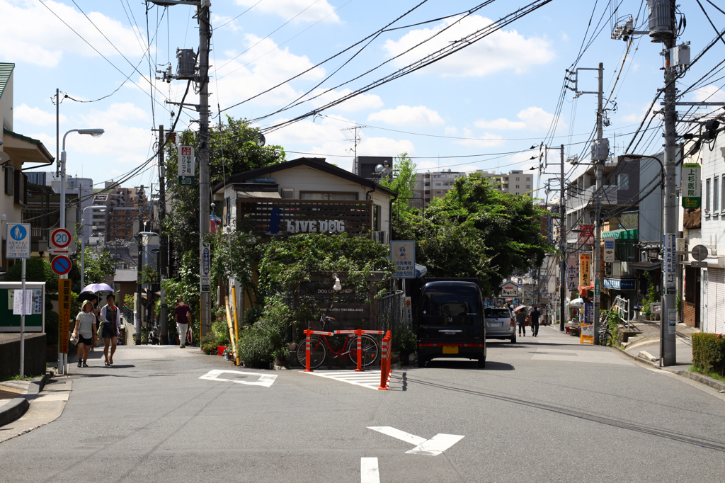 "Y-junction"
