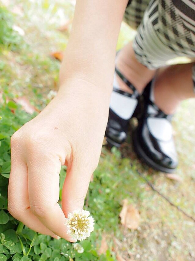 お花摘み