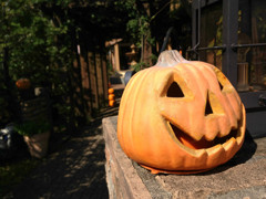 ハッピーハロウィーン
