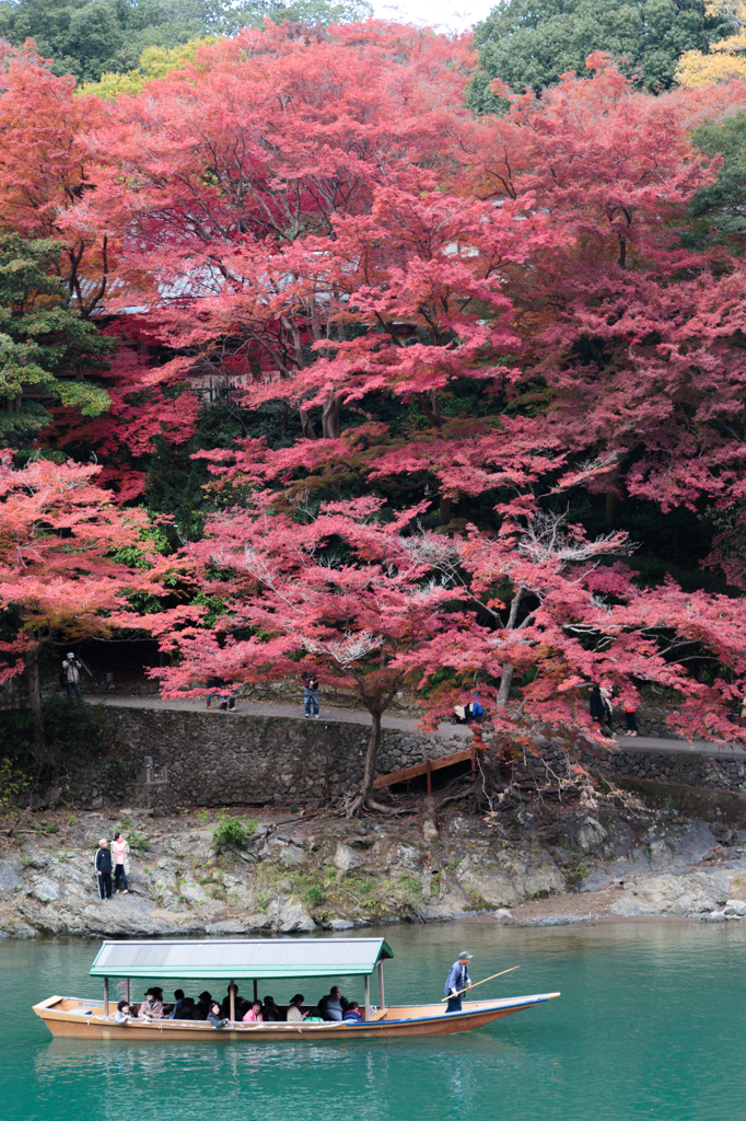 紅葉と青い川