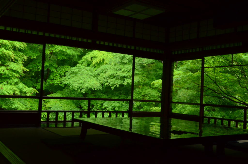 雨の瑠璃光院