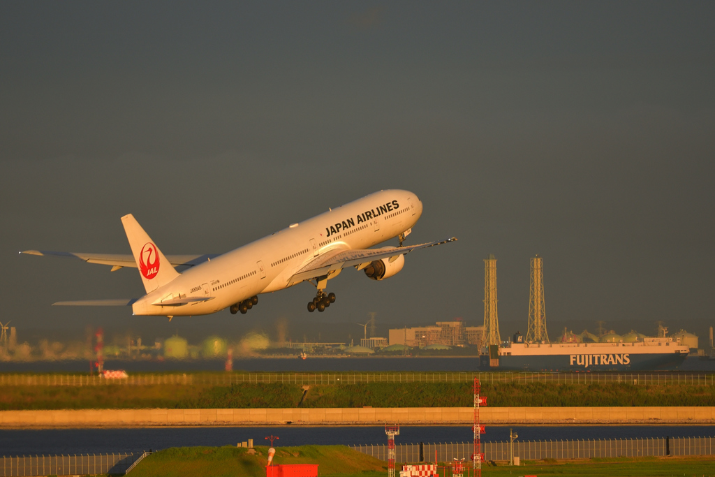 JAL キラッと☆彡