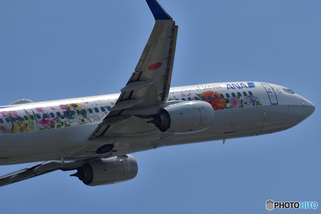 デザイン、いいです。