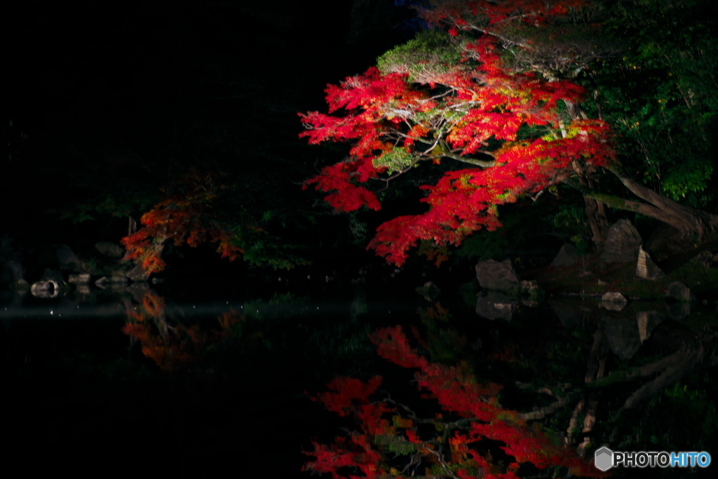 夜間特別開園/後楽園　その2