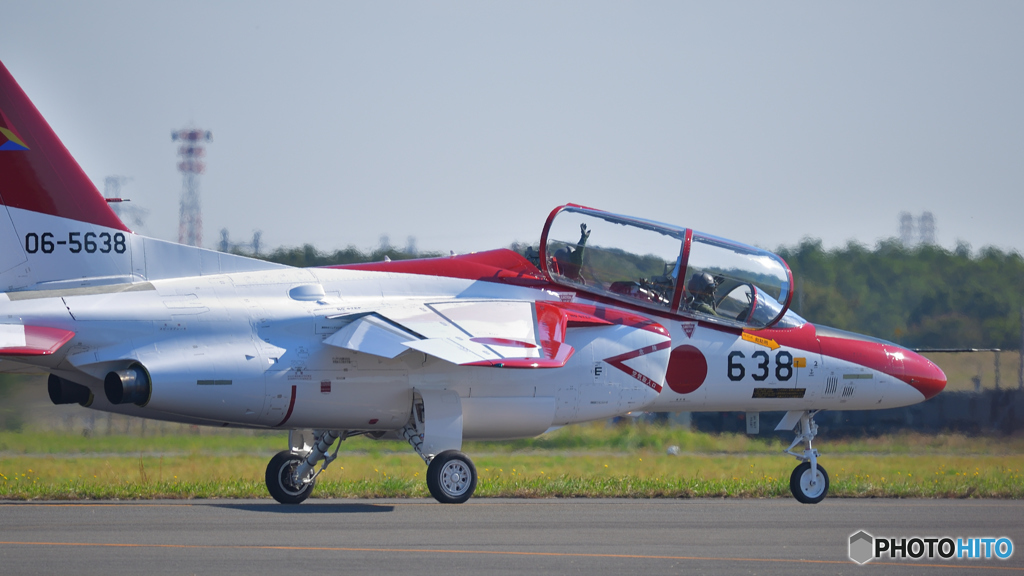 レッドドルフィンもいいな