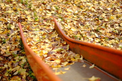 落ち葉の滑り台