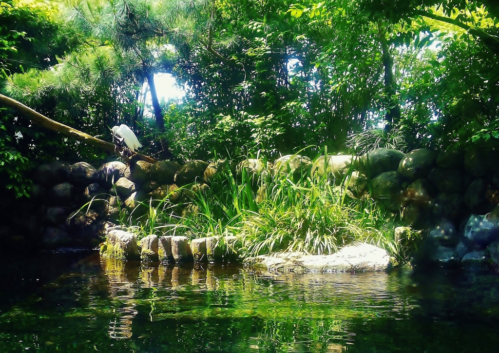 日本水景