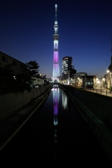 天空へと伸びる樹