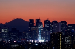 新宿の街並みと富士山