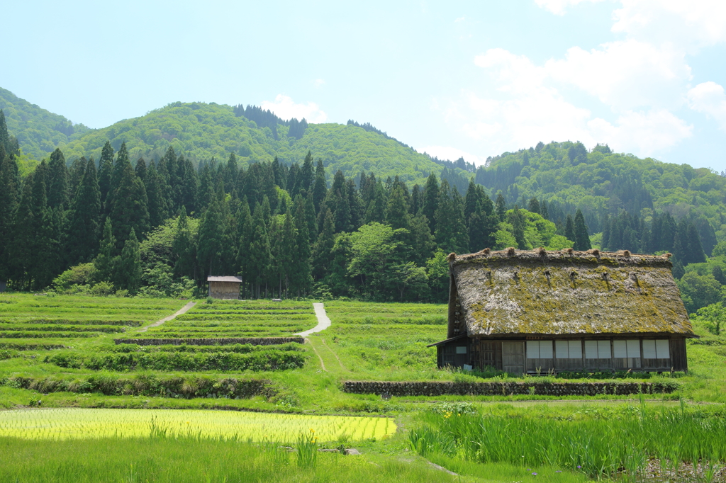 白川郷