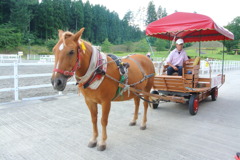 馬車