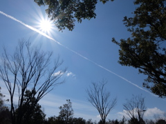ひこうき雲
