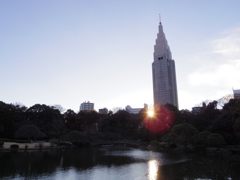 IMGP3784