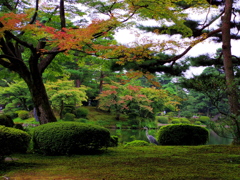 佇む鷺