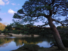 IMGP3789