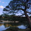 IMGP3789