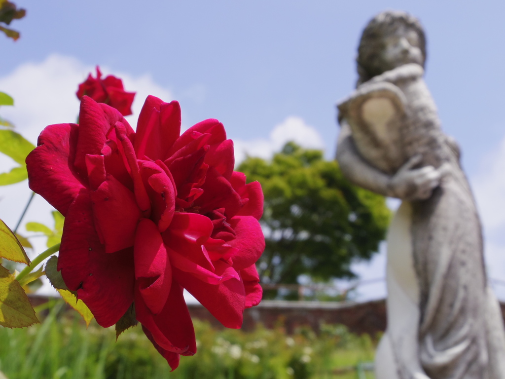 花と女性