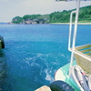 夏の海