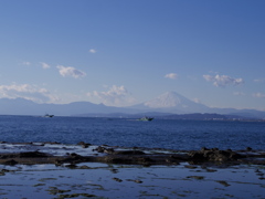 IMGP3704