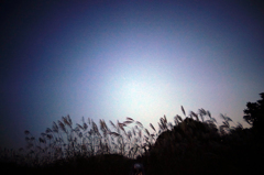 Tsunan-2