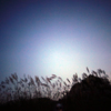 Tsunan-2