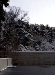 Taisetsu SUZUKI museum