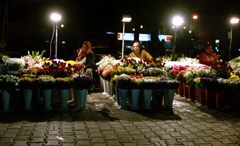 Istanbul-1