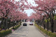 行き交う
