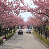 行き交う