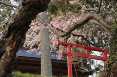 交わる朱