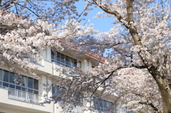 はじまりの季節