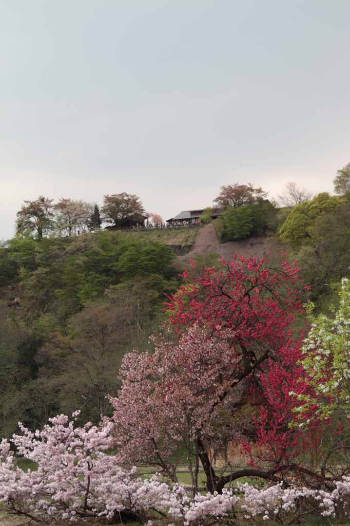 白川郷