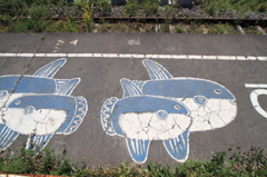 大谷海岸