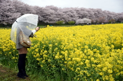 小雨ながら