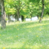 野に咲く花