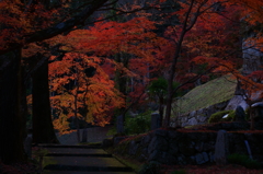 参道の紅葉