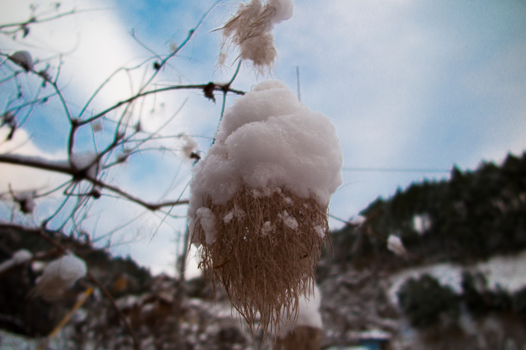 雪帽子