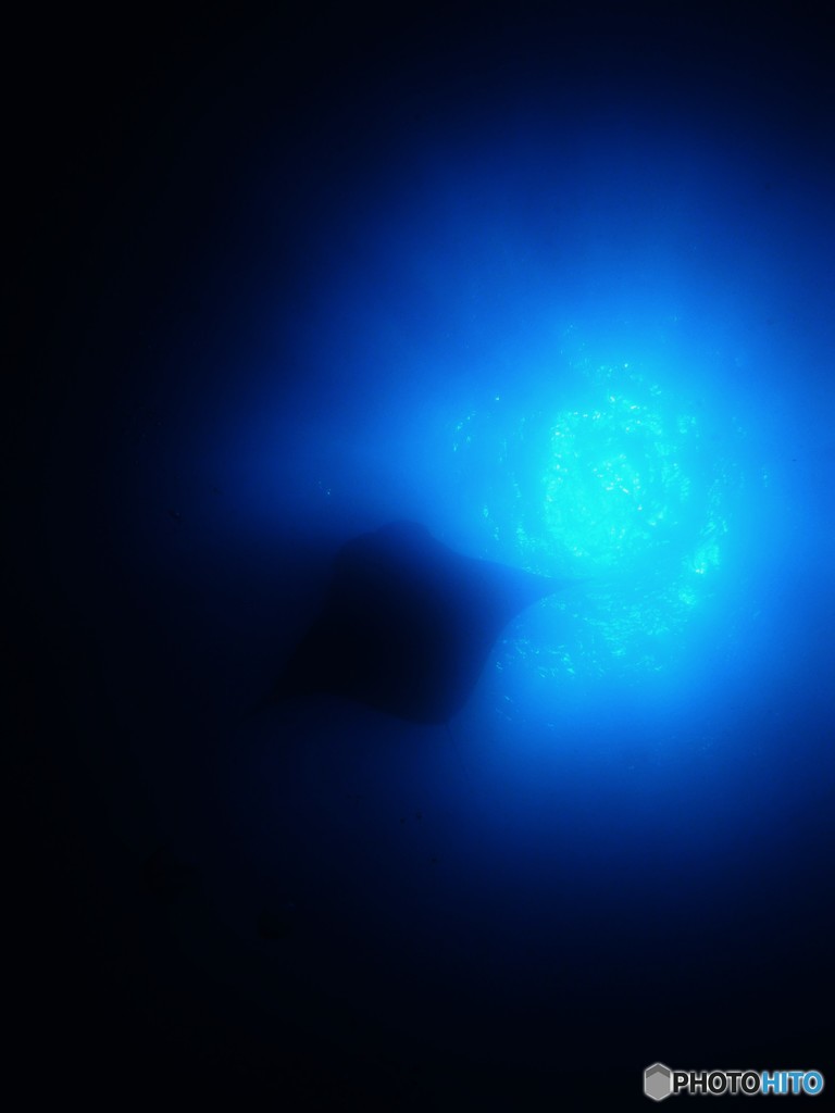 海中飛行♪