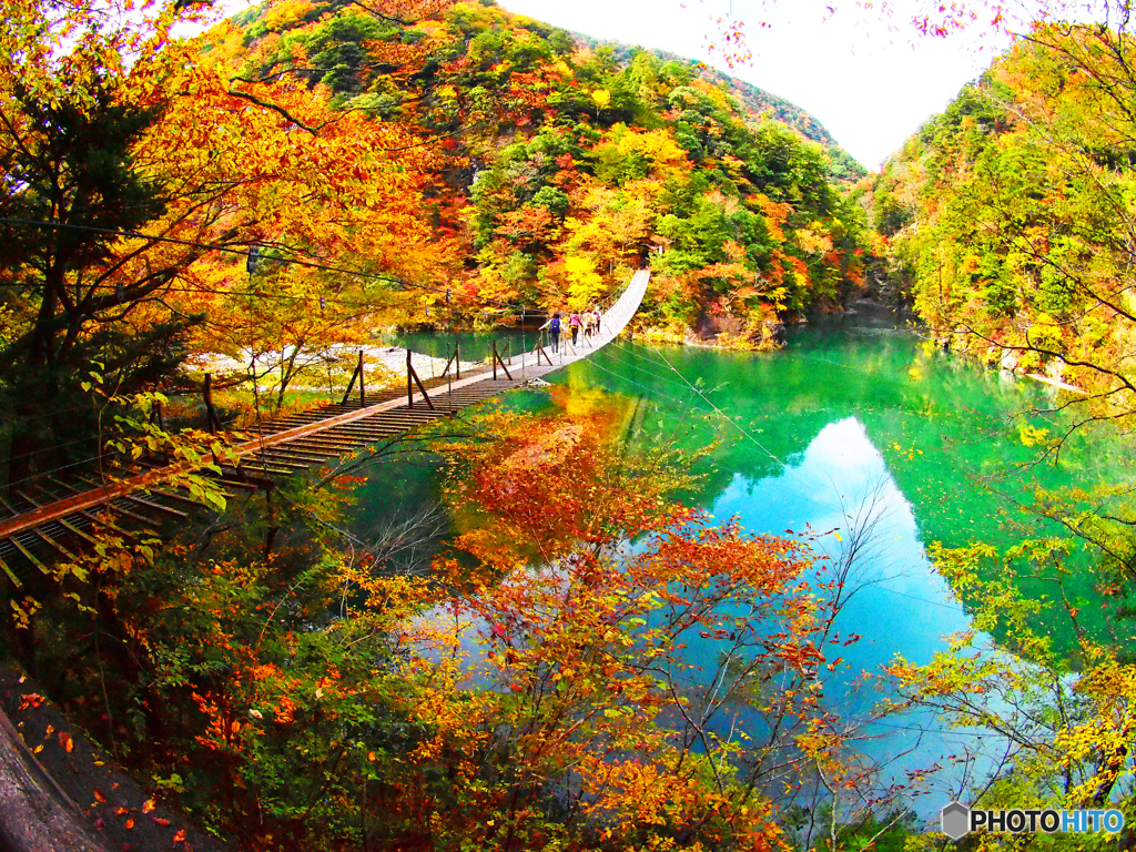 色彩の山