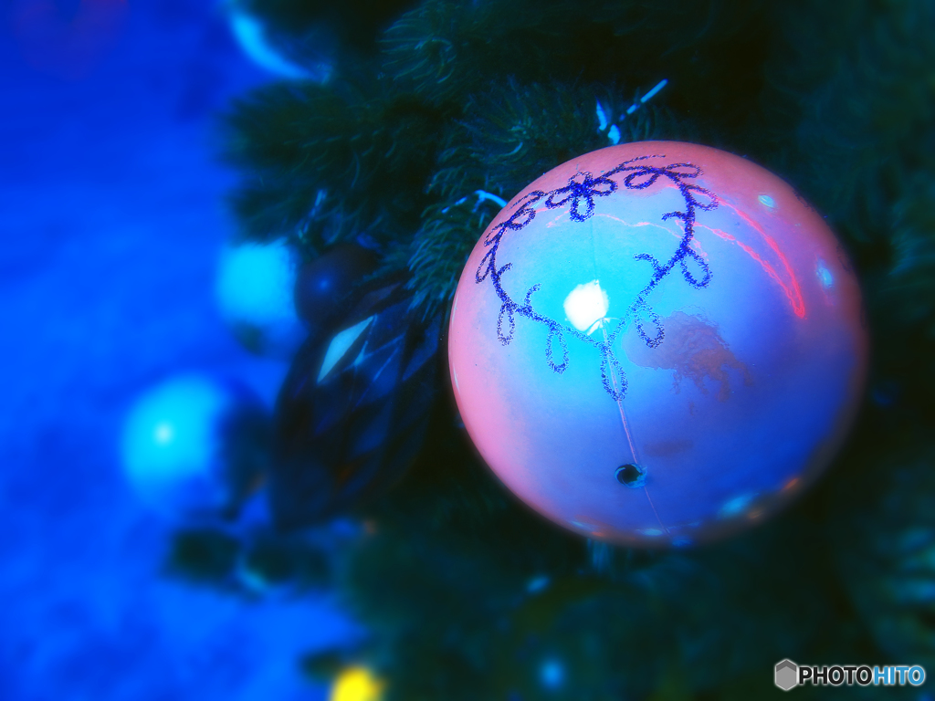 海中クリスマス